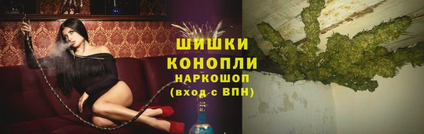 амф Каменка