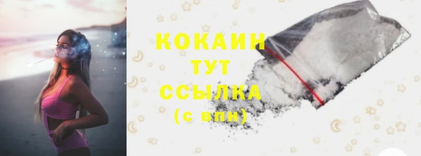 эйфоретик Инта