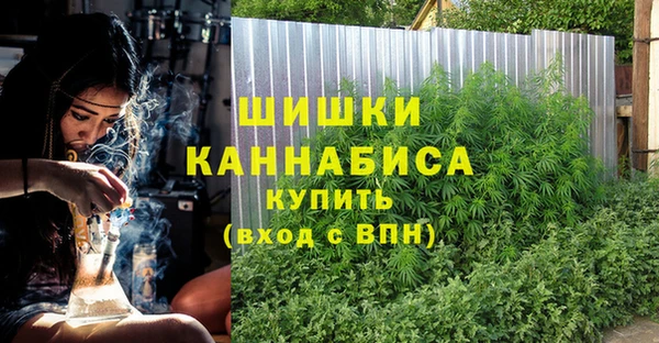 амф Каменка