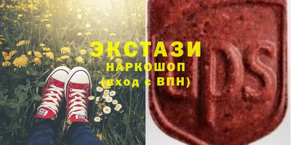 амф Каменка